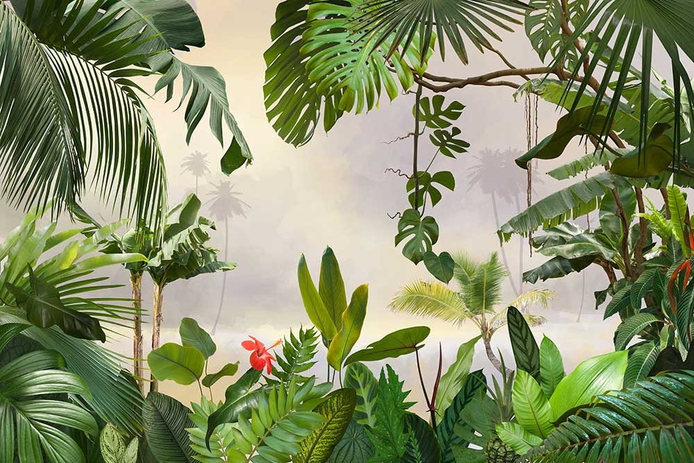 Fototapeta tropikalna z palmami i liśćmi bananowca - obrazy, fototapety, plakaty 
