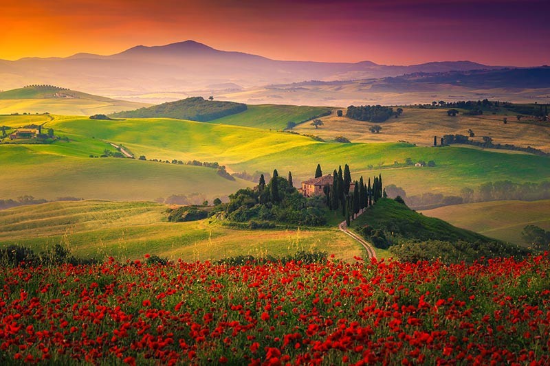 Obraz pejzaż Toskanii z polem czerwonych maków o zachodzie słońca - obrazy, fototapety, plakaty